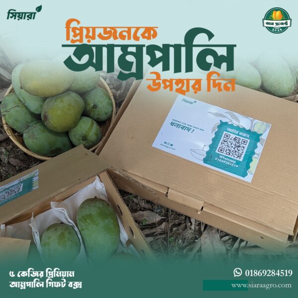 আম্রপালি আম | Amropali Mango | ফরমালিনমুক্ত আম | প্যাকেজিং এবং ডেলিভারি সহ- 5kg