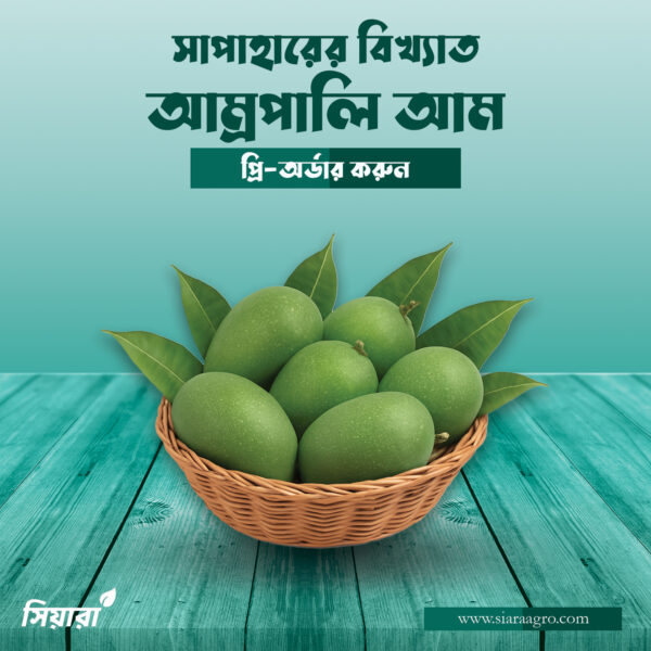 আম্রপালি আম | Amropali Mango | ফরমালিনমুক্ত আম | প্যাকেজিং এবং ডেলিভারি সহ- 10KG